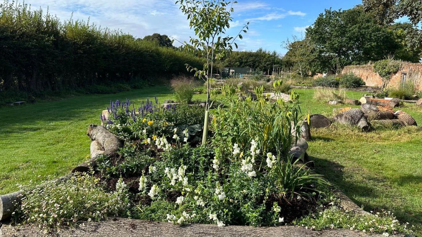 A grassy walled garden with banks of flowers and some seating in the background. There is a large hedgerow to the left and a red brick wall to the right. 