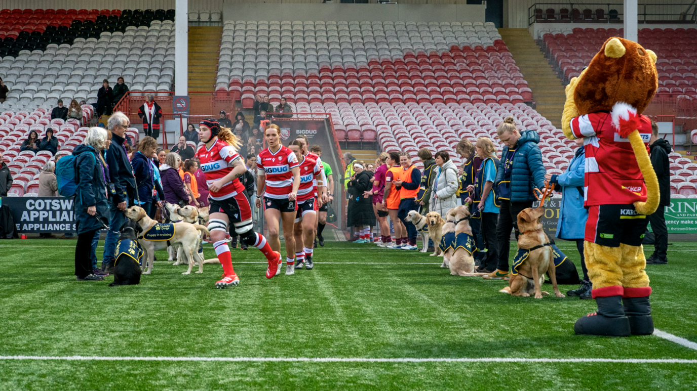 Players in red kit running out of the tunnel flanked by the guide dogs, puppies and the volunteers. The puppies are wearing navy jackets. Behind the pitch is dozens of red chairs.