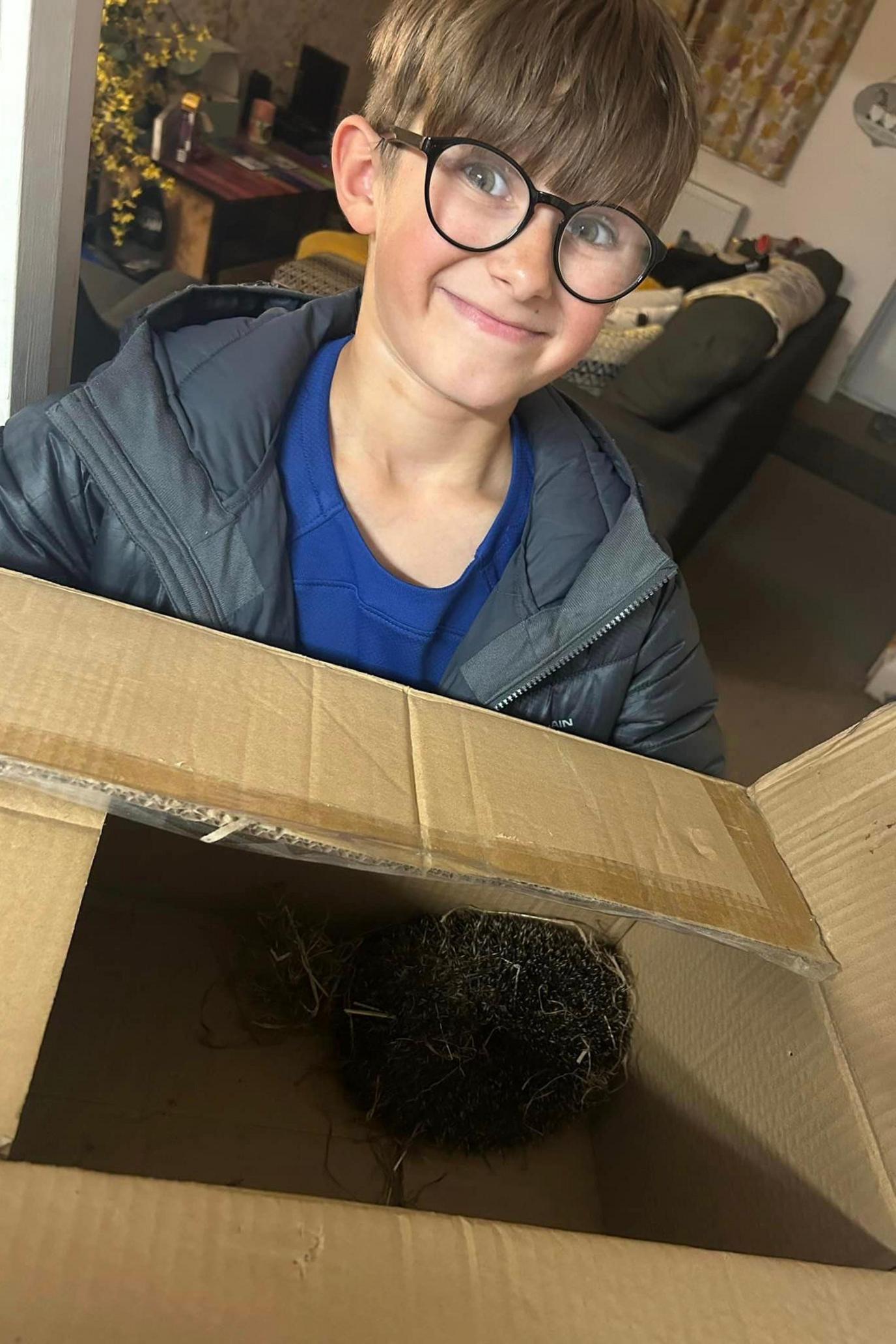 A boy with a brown fringe and large glasses smiles brightly as he hold a carboard box containing a hedgehog.