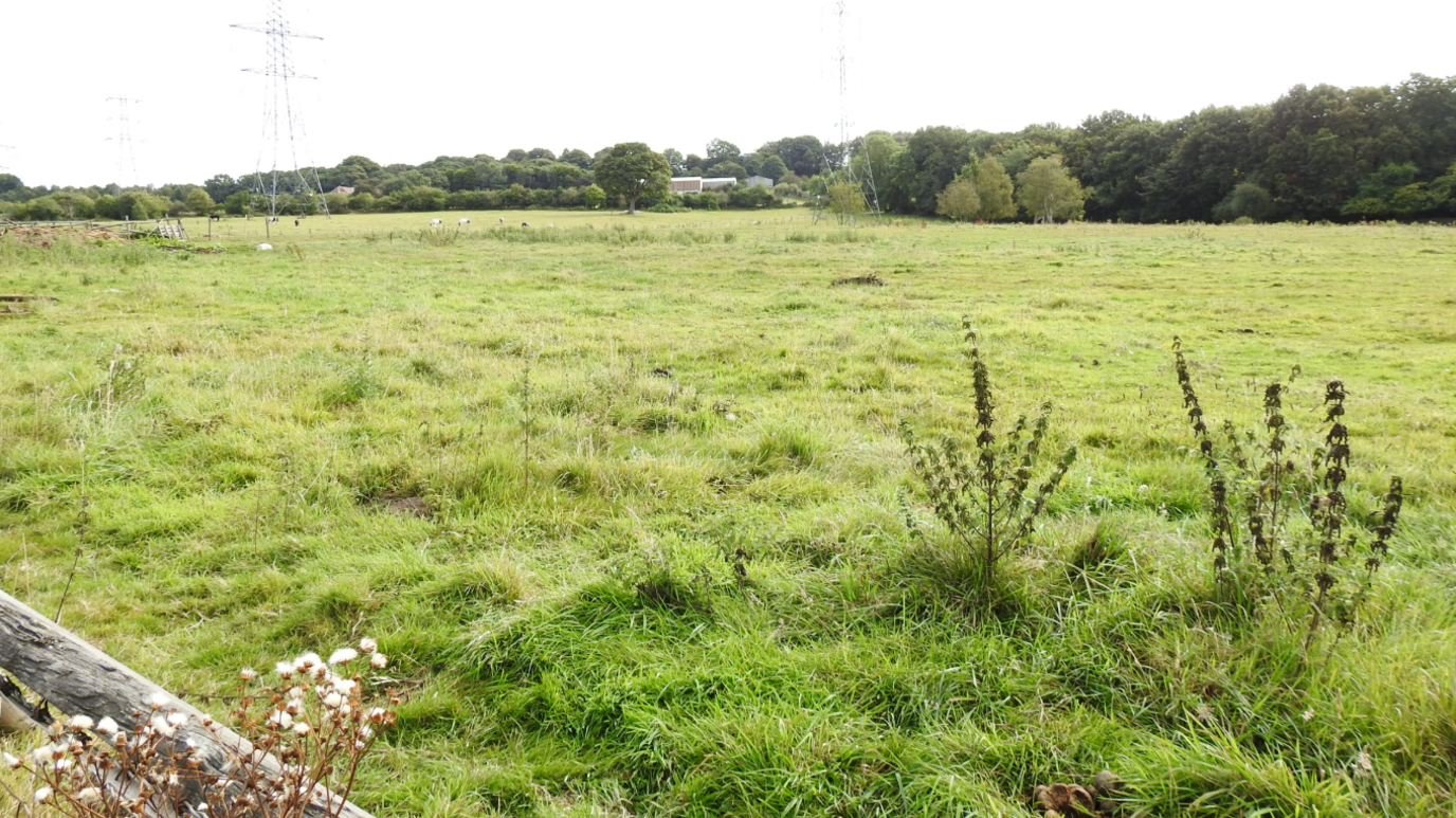 A green field can be seen with trees in the background