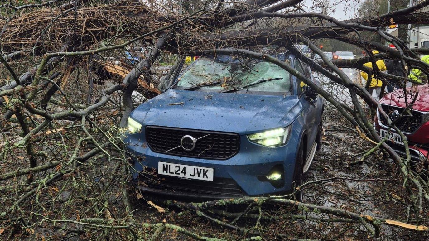 A blue Volvo car which has been crushed by a falling tree.