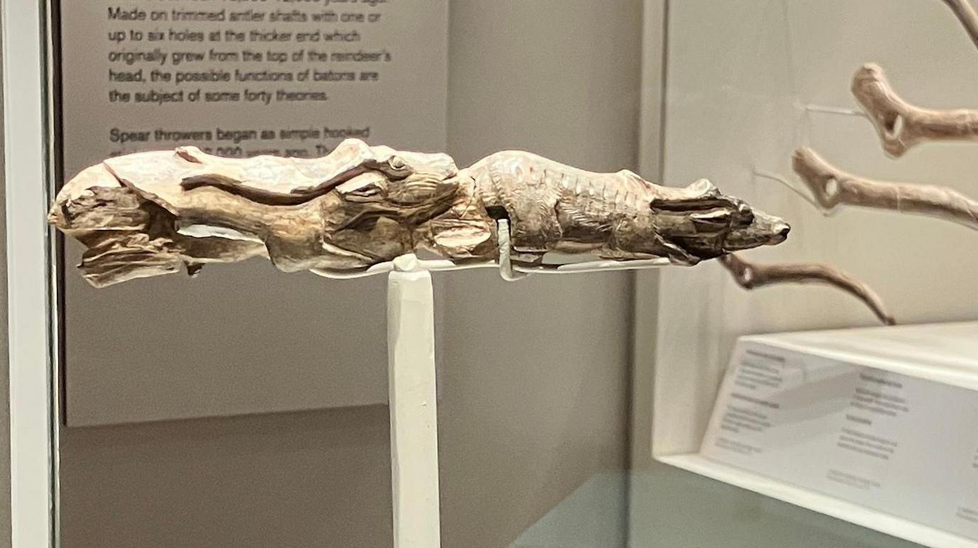 One artefact made out of mammoth ivory depicts a drawing of a male and female reindeer.