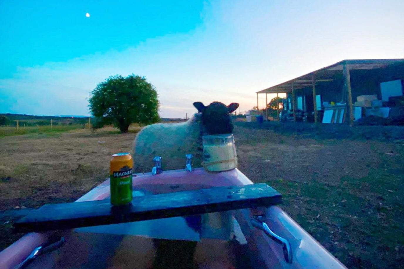 A sunset view of the container home, from Robyn's outdoor bath