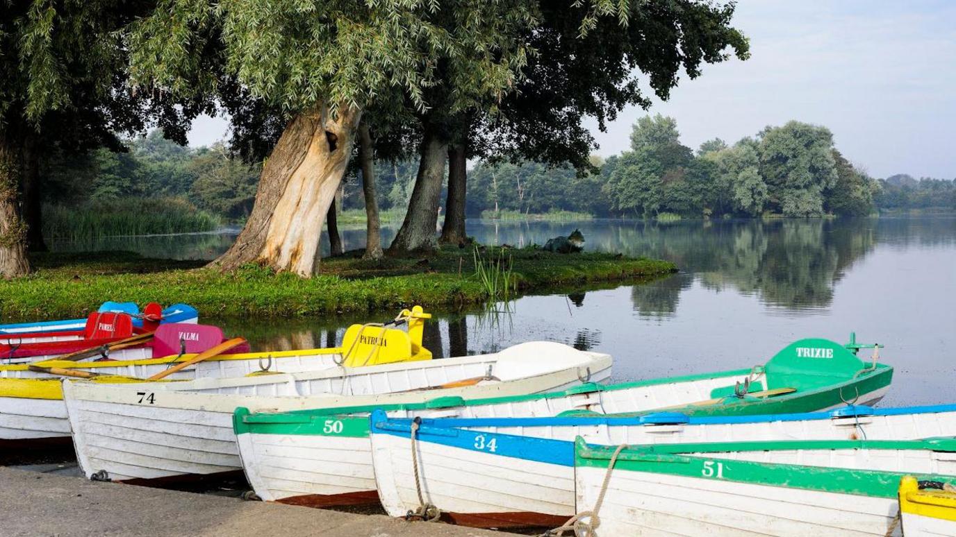 A line of colourful rowing boats tied to a concrete dock are in the forefront of the waterway which is lined with beautiful big trees, mirrored in the lake.