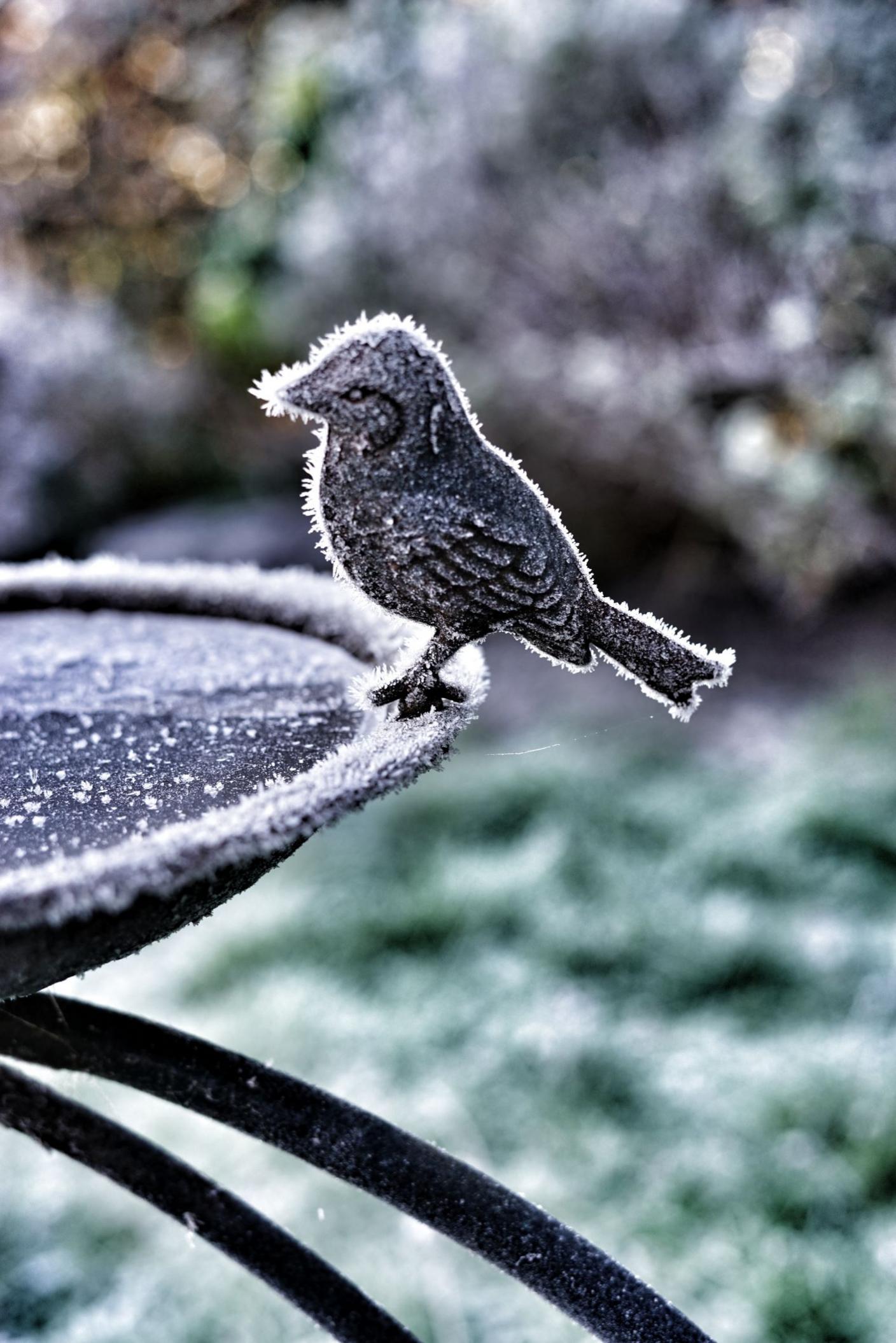 A close-up of a metal bird bath covered in frost. The bird bath has a little metal bird attached to it and the bird is also covered in a thin layer of frost.