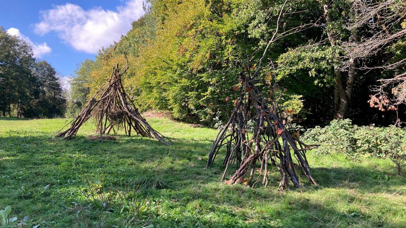 Piles of sticks stacked together to created dens. Two are built close together on a green field with blue sky and trees in the background.