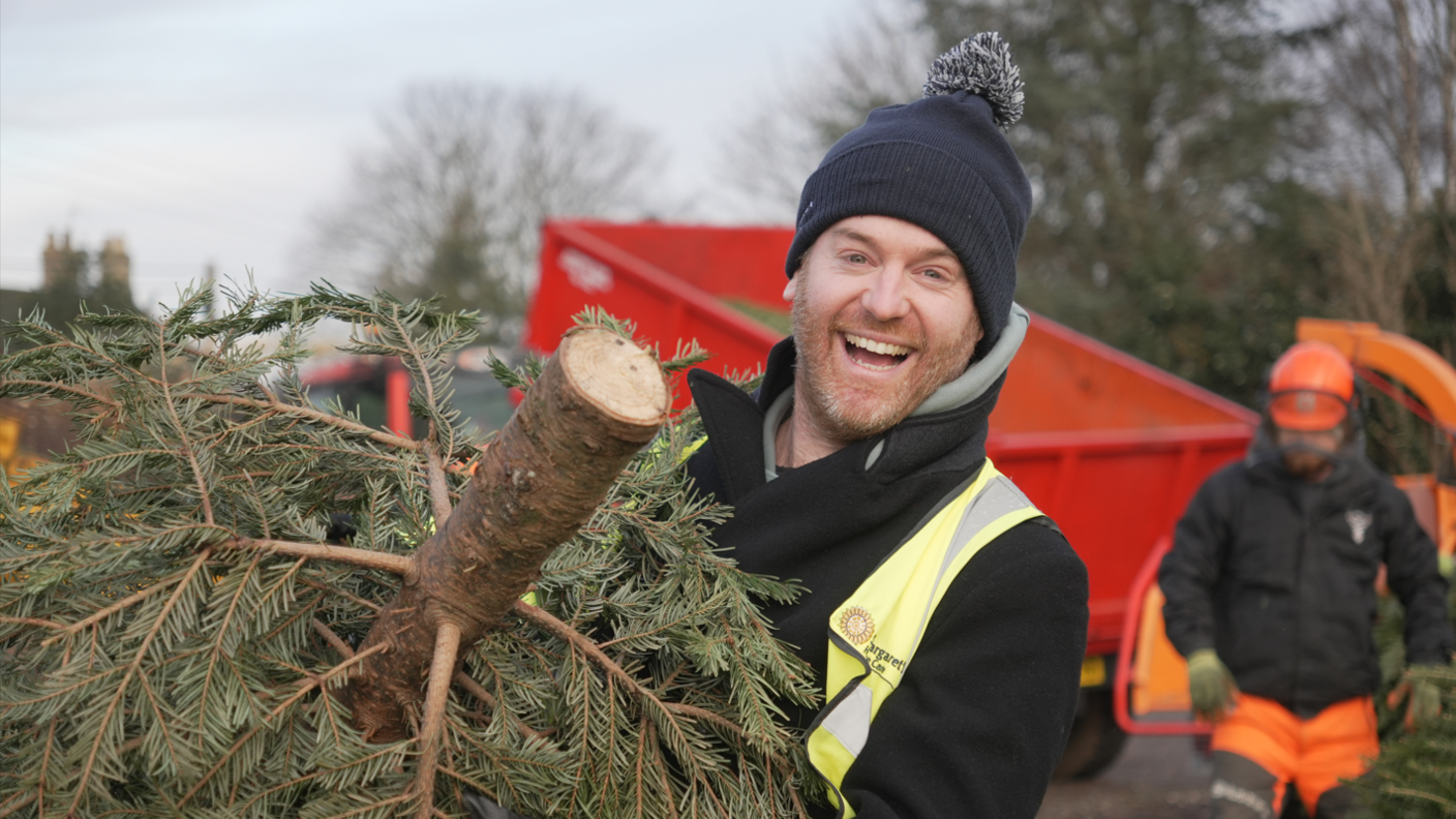 A man wearing a hat and high-vis vest is carrying a Christmas tree. In the background is a man with an orange hard-hat loading a tree onto a tractor.