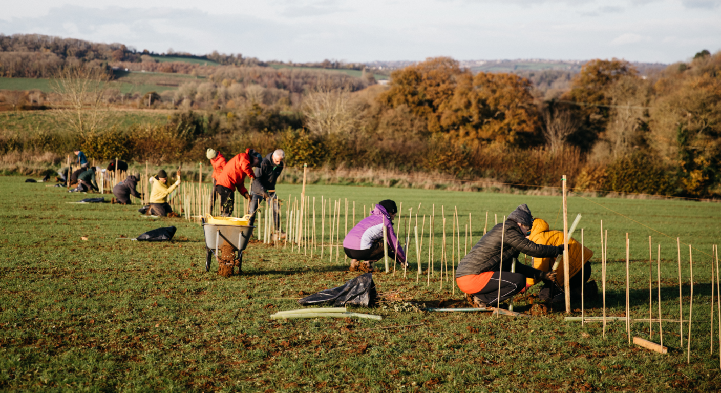 A group of people in bright outdoor jackets plant hedgerow plants in a line marked out by bamboo canes in a field.