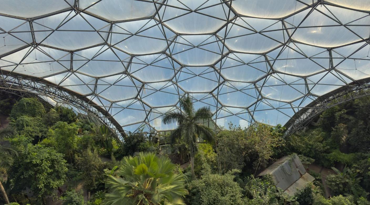 Looking down inside a large greenhouse structure. Inside are trees and plants. 