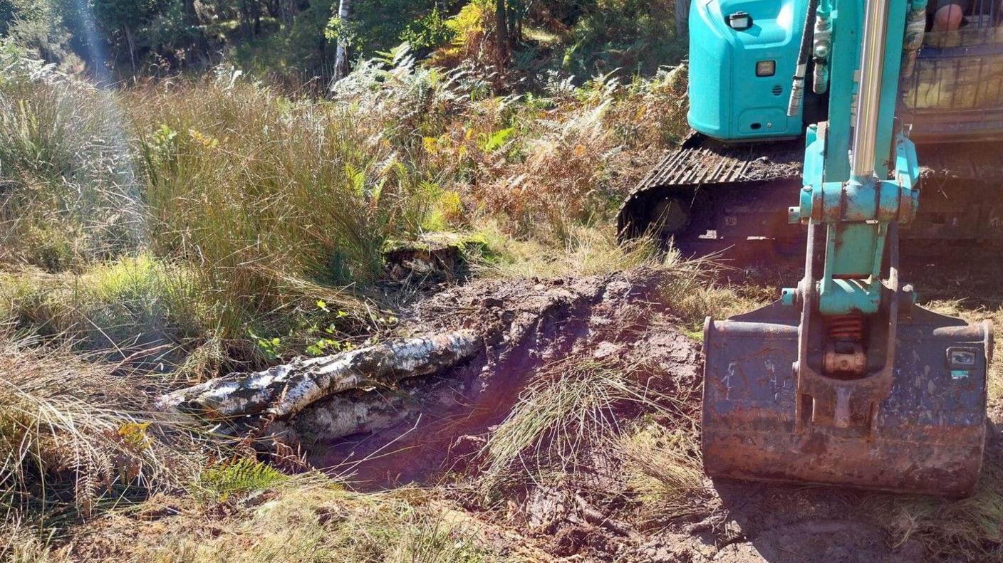 A small mechanical digger next to a newly-constructed leaky dam made of large logs