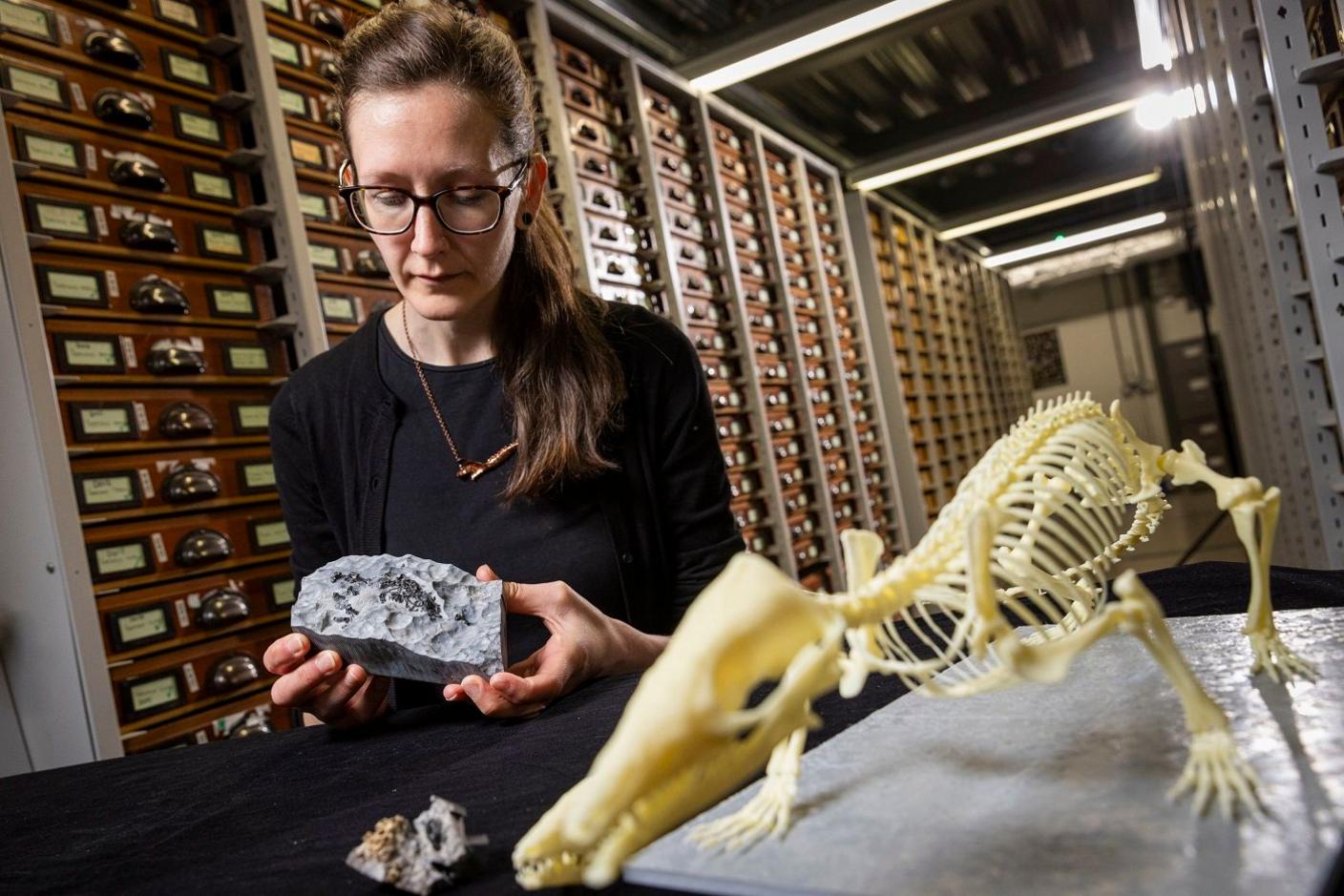 woman looking at fossils. 