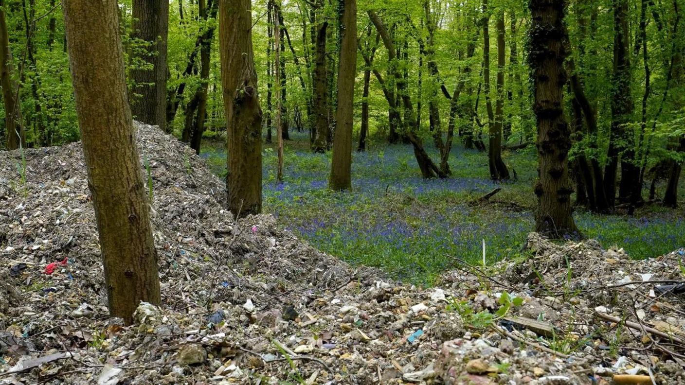 Waste piled up in the forest amid a bluebell carpet in the background