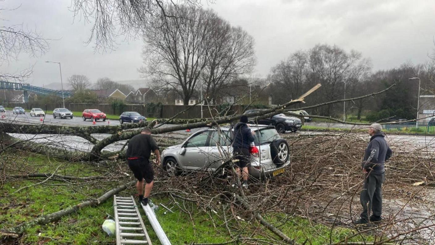 A tree falls on a car a silver car. There are three men who are trying to get the tree and debris of the car.