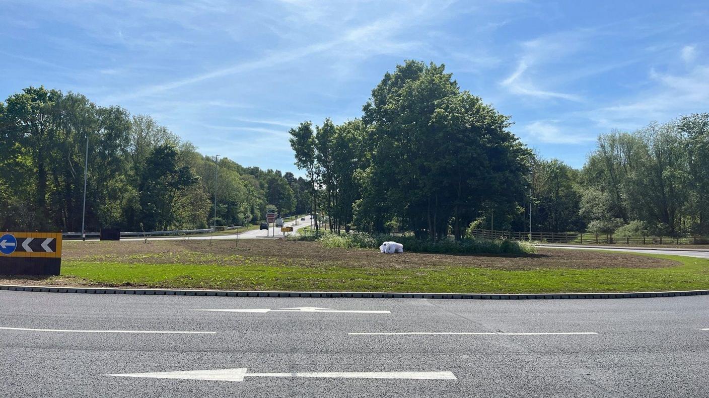 Clophill roundabout, with soft toy white elephant standing in the middle next to trees