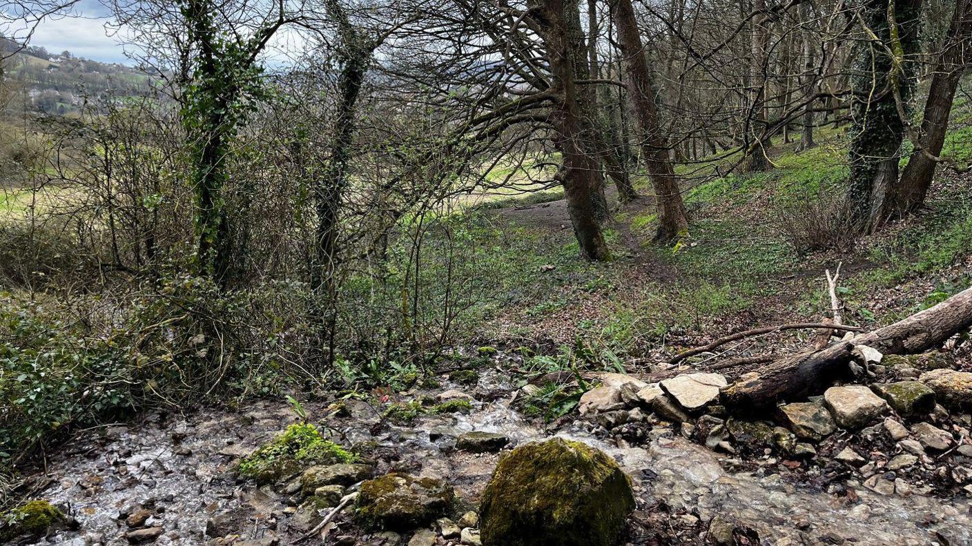 The Heavens Valley in Stroud, with a stream running through it