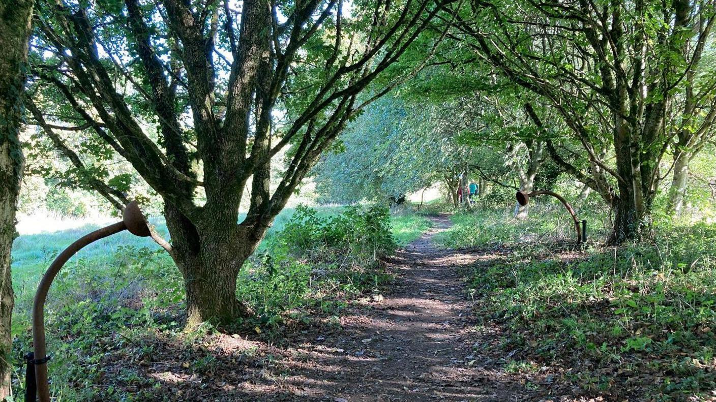 Long path surrounded by trees with meadows on either side.
