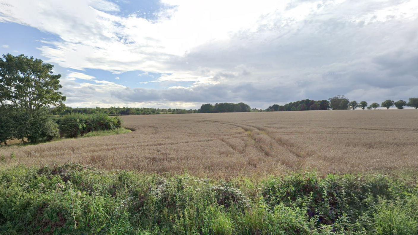Kilkenny Farm land - it is a brown field with green bushes surrounding it.