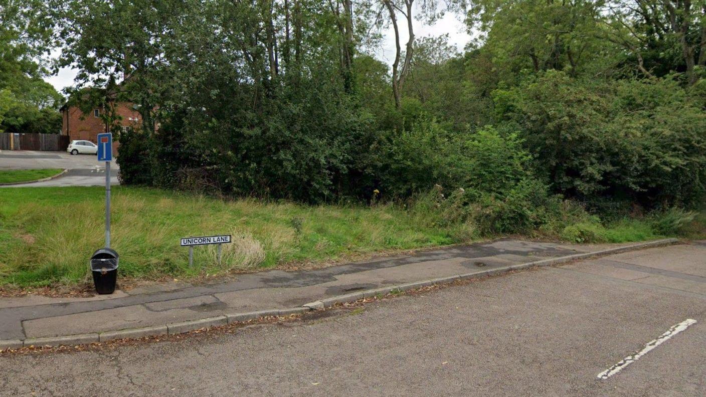 Grass and woodland area on Unicorn Lane in Eastern Green