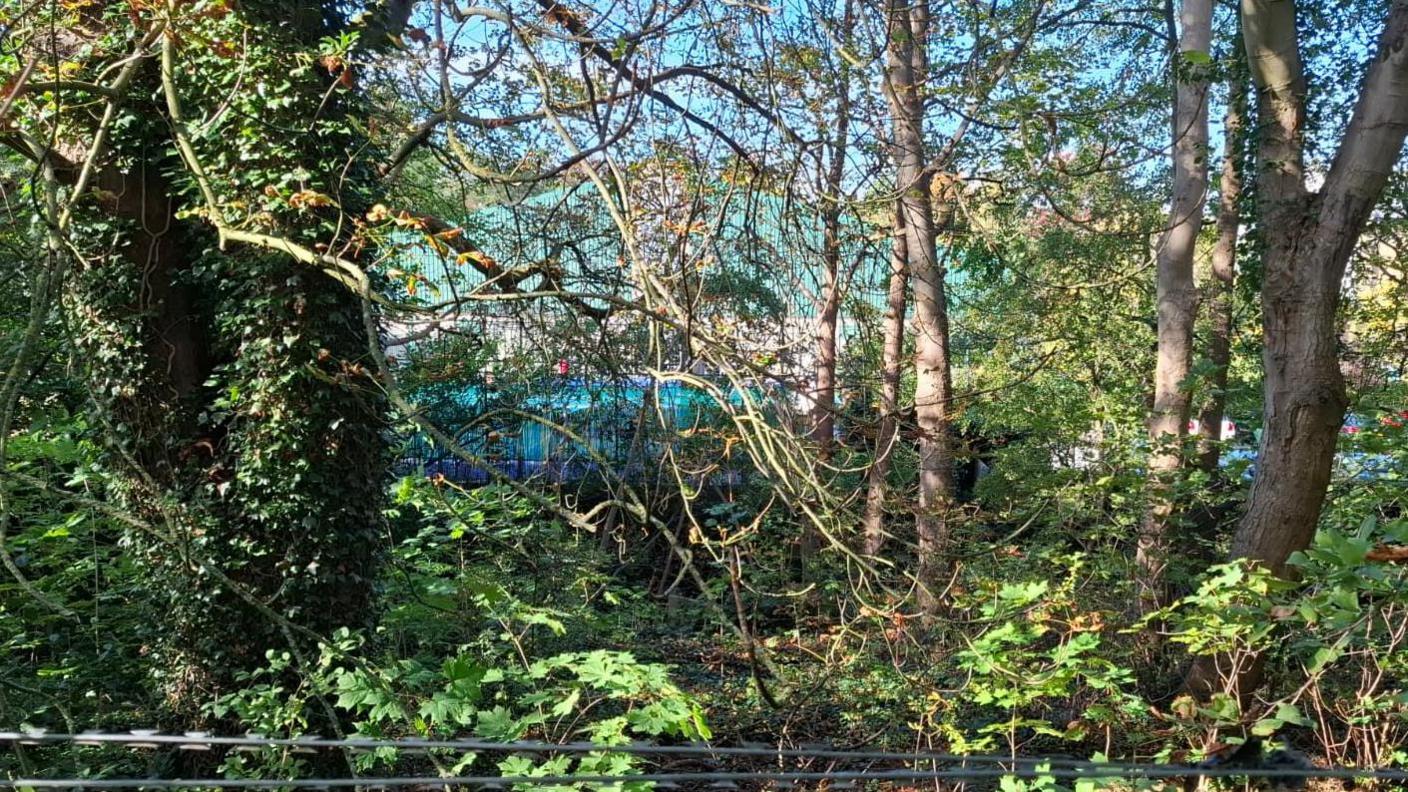 A large woodland with a padel court just visible in the background.