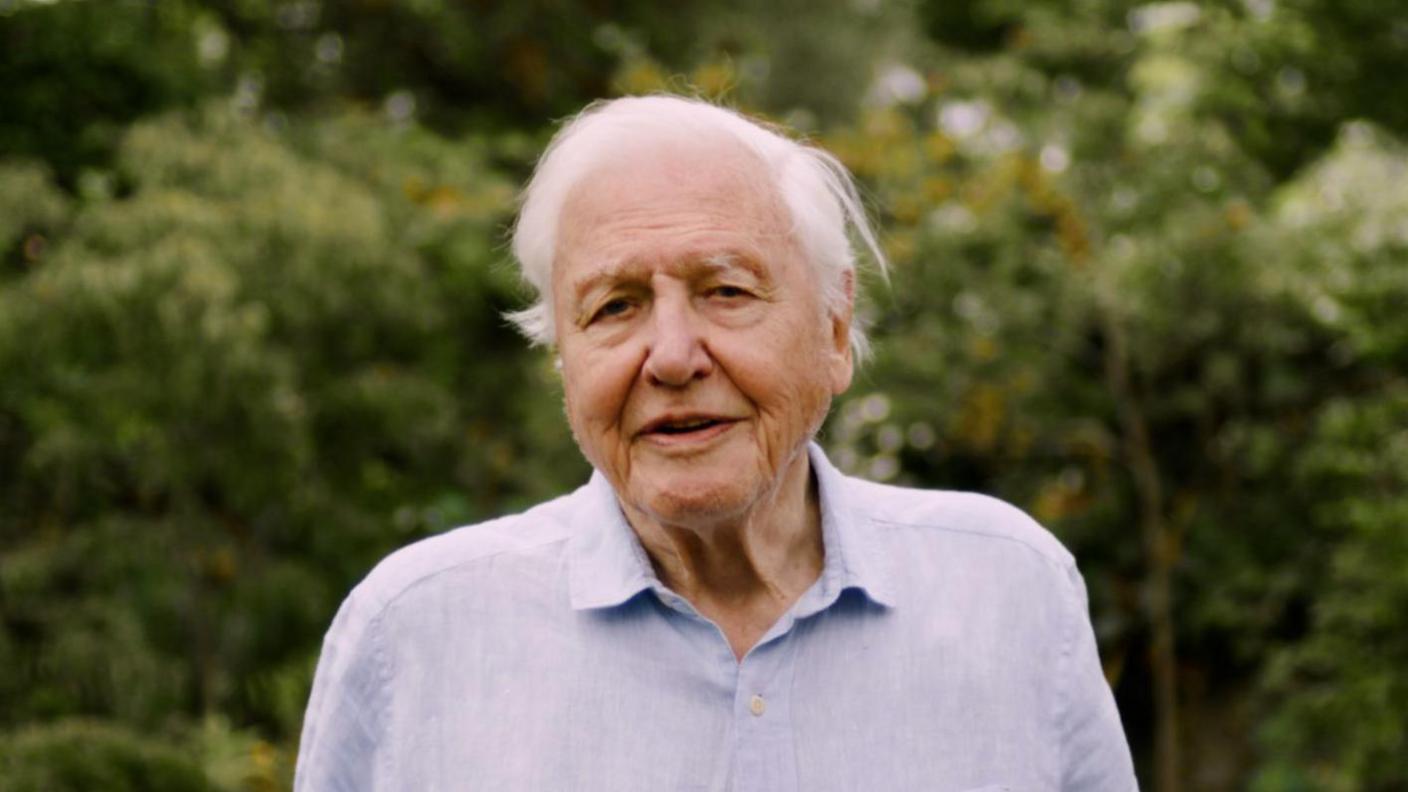Sir David Attenborough. He is an elderly gentleman with white hair. He is wearing a white shirt and standing in front of trees.