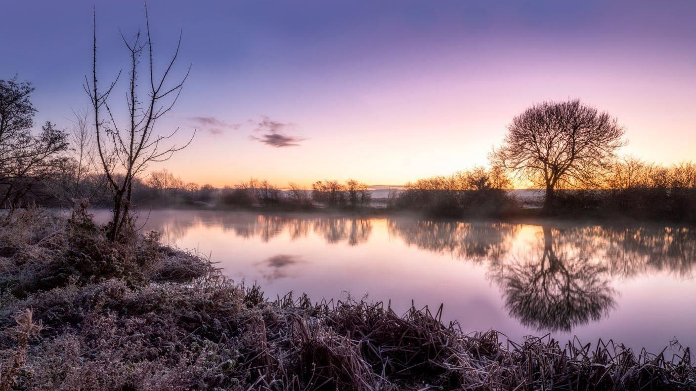 A nature reserve panorama. The sky has a purple and yellow hue which is reflected in the water.