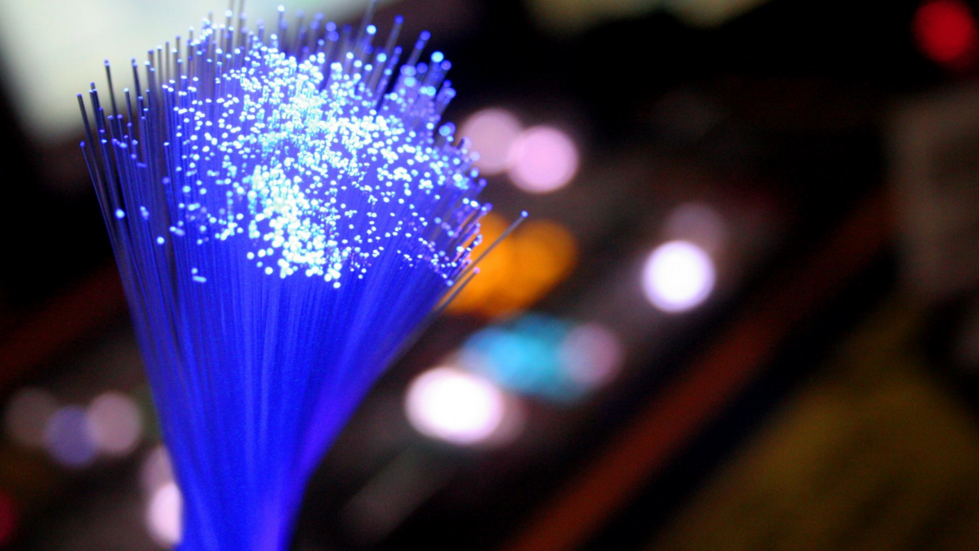 Fibre optic lights