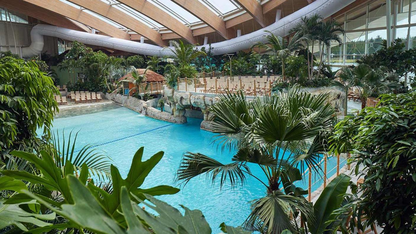 A swimming pool surrounded by tropical trees with light pouring in through a number of long narrow windows above it