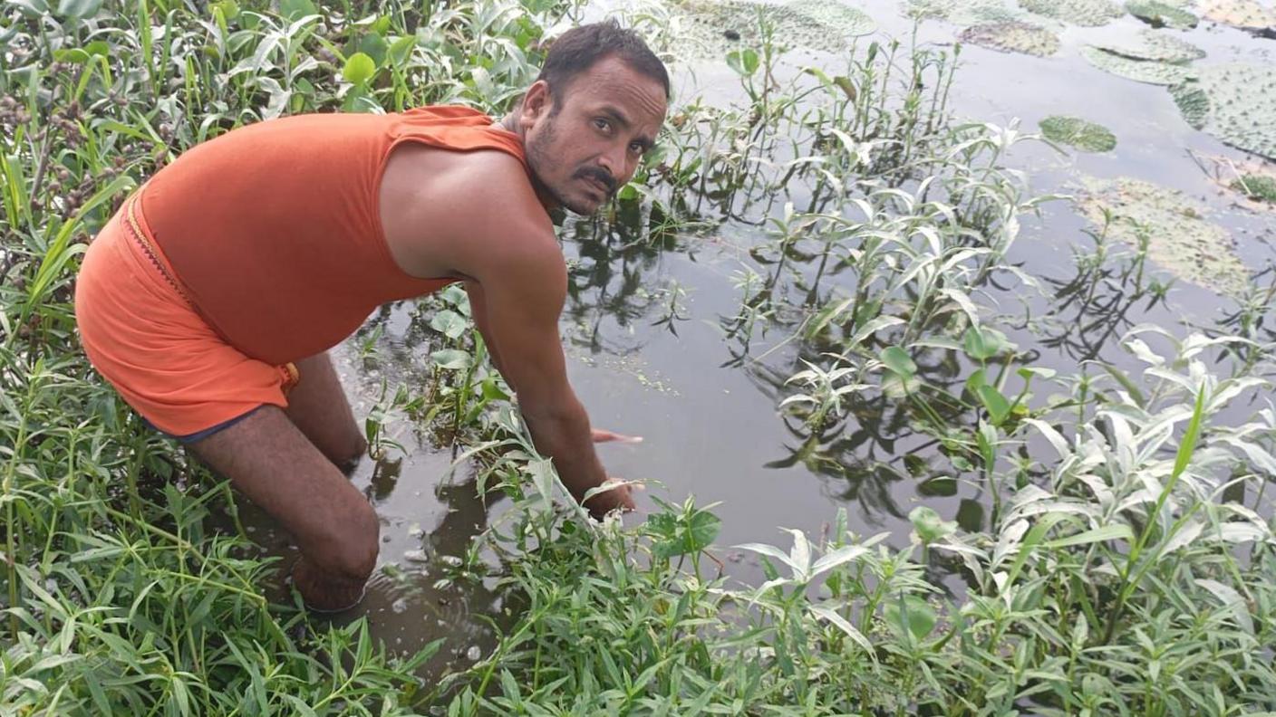 Phool dev Shahni knee deep and reaching into a pond