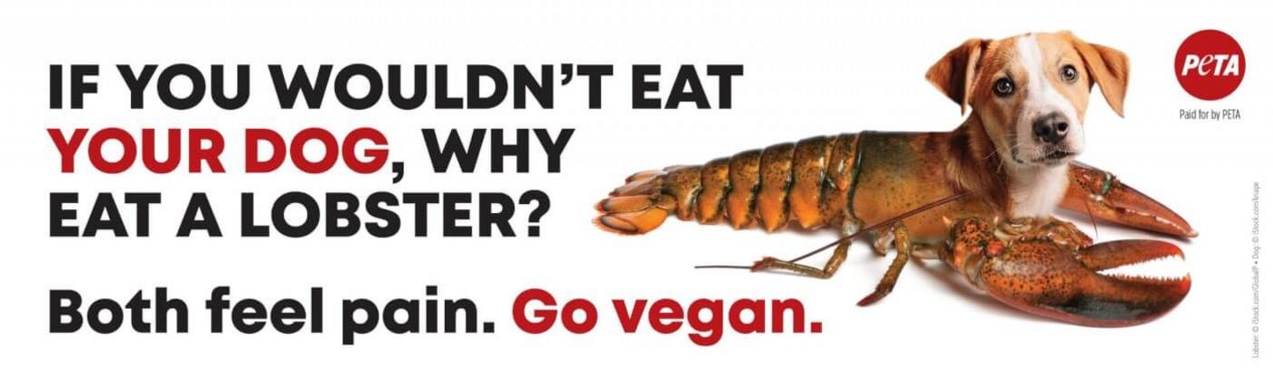 A dog head on the body of a red lobster next to the words 'IF YOU WOULDN'T EAT YOUR DOG (your dog in red), WHY EAT A LOBSTER? Both feel pain. Go vegan (in red).