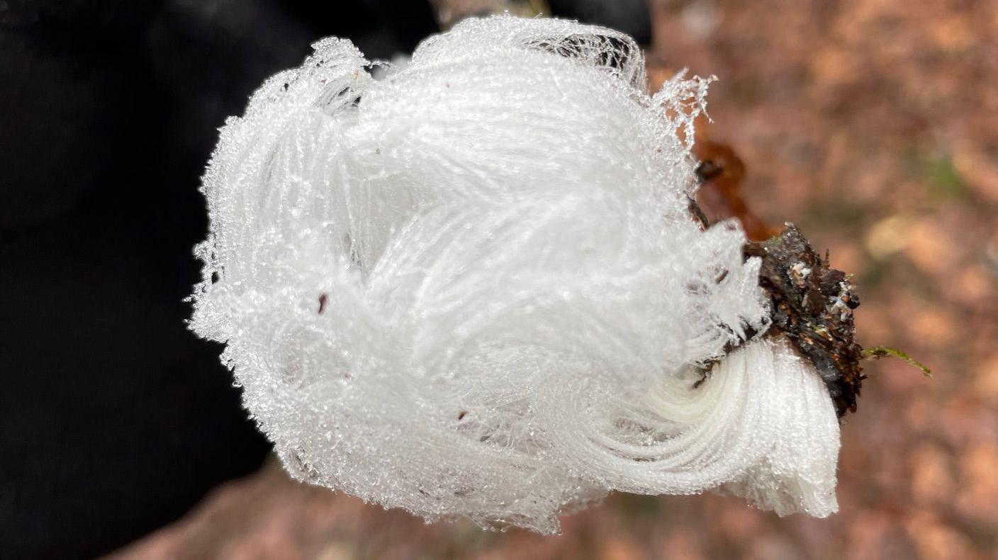 A close up of black gloved hand holds up a stick which is covered in a ball of strands of ice. 