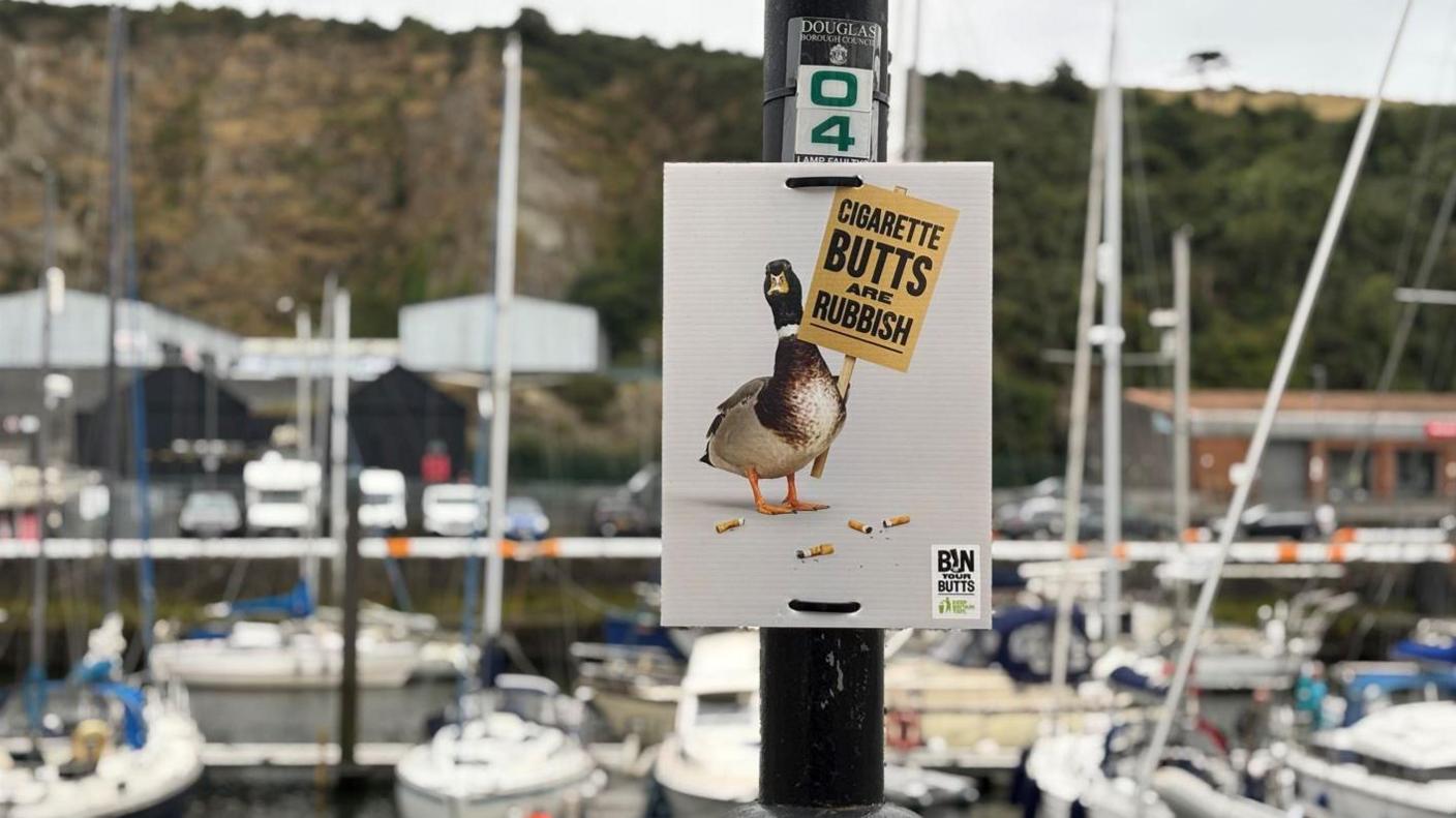A sign shows a picture of a duck holding a protest board reading "cigarette butts are rubbish", on a street light in front of boats on Douglas quay.