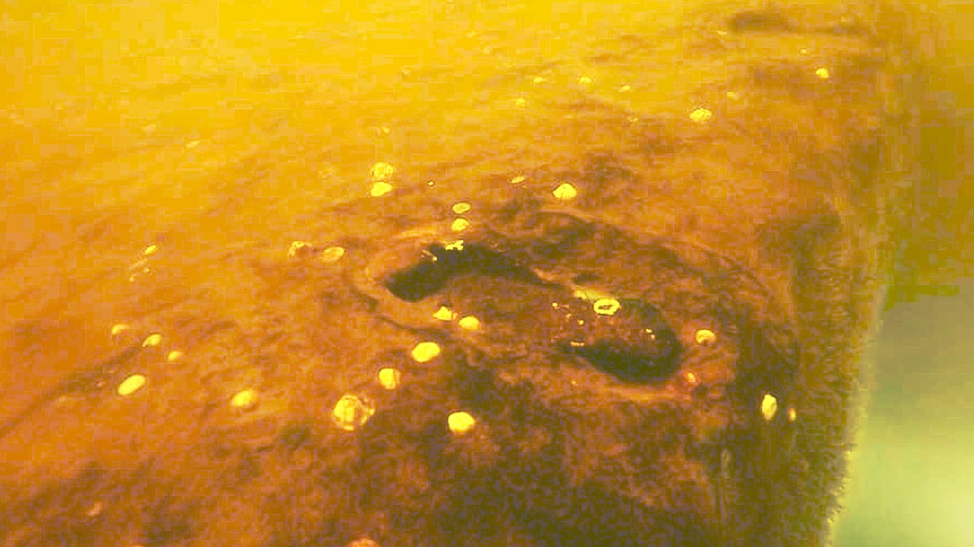 An underwater photograph of a large yellow-ish stone structure with carvings and ornaments. 