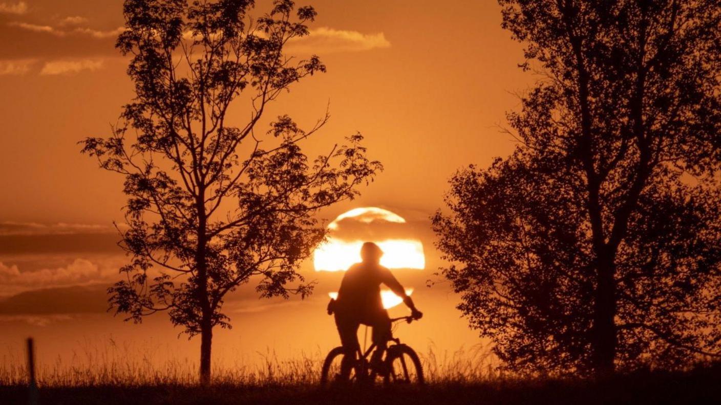 A sunset with the silhouette of a person on a bike with trees beside them. The sky is completely orange.
