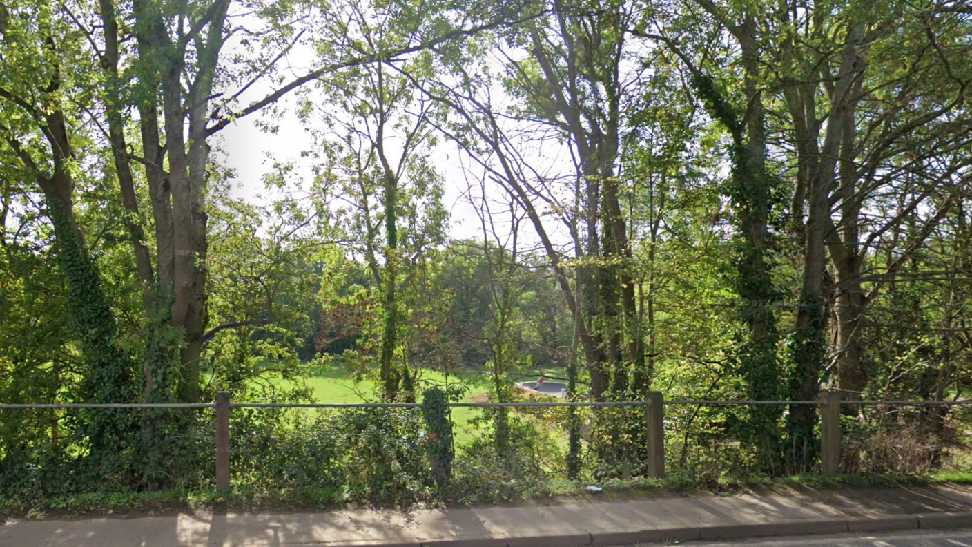 The grassy park viewed from the road adjacent to it on a bright day. A skate bowl with a skater can be seen beyond the line of trees.