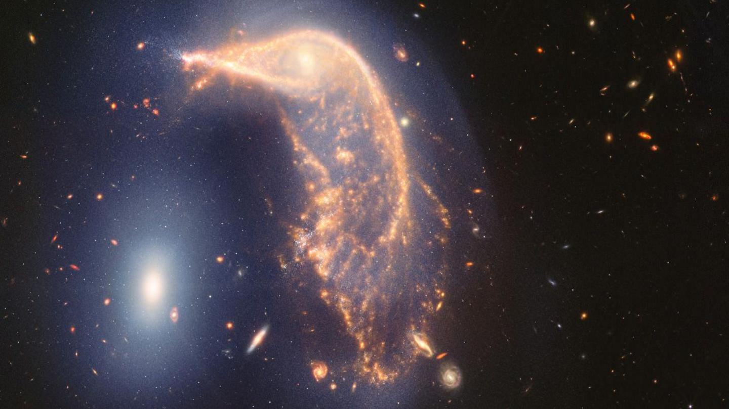 Two galaxies forming what looks like a golden penguin with an egg in space