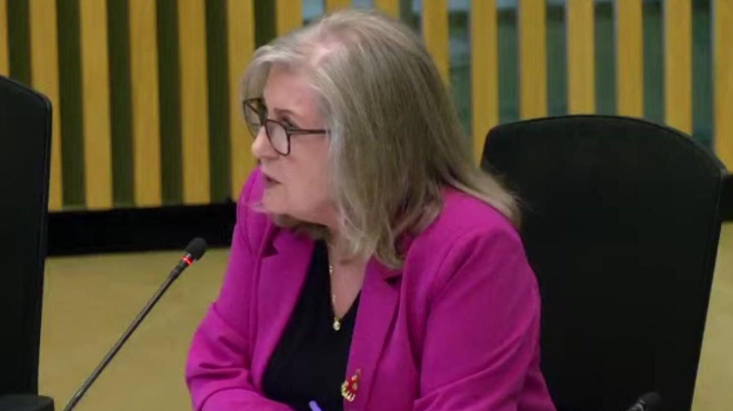 Susan Hall is seen sitting at a desk speaking into a microphone, wearing glasses and a purple jacket.