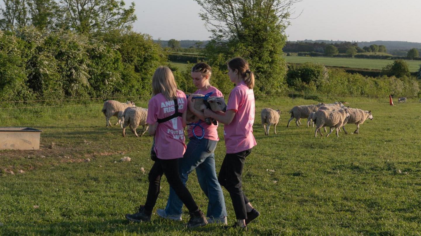 Animal Rising protesters