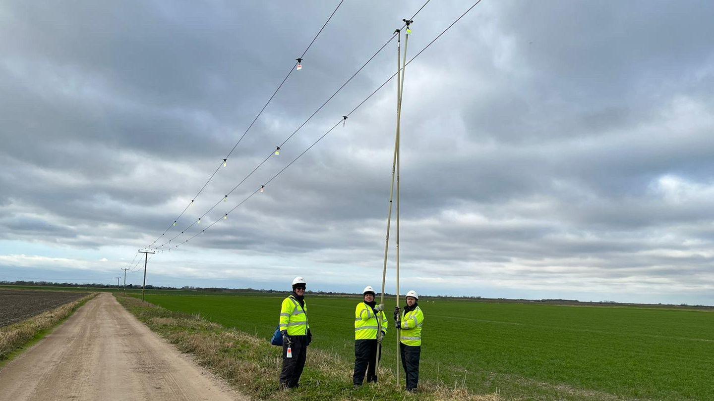 Three engineers wearing hard hats and fluorescent jackets stood by a field installing small discs onto power cables using a long rod. 