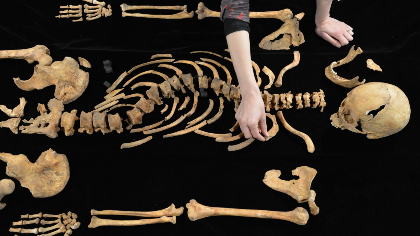 The skeleton of King Richard III