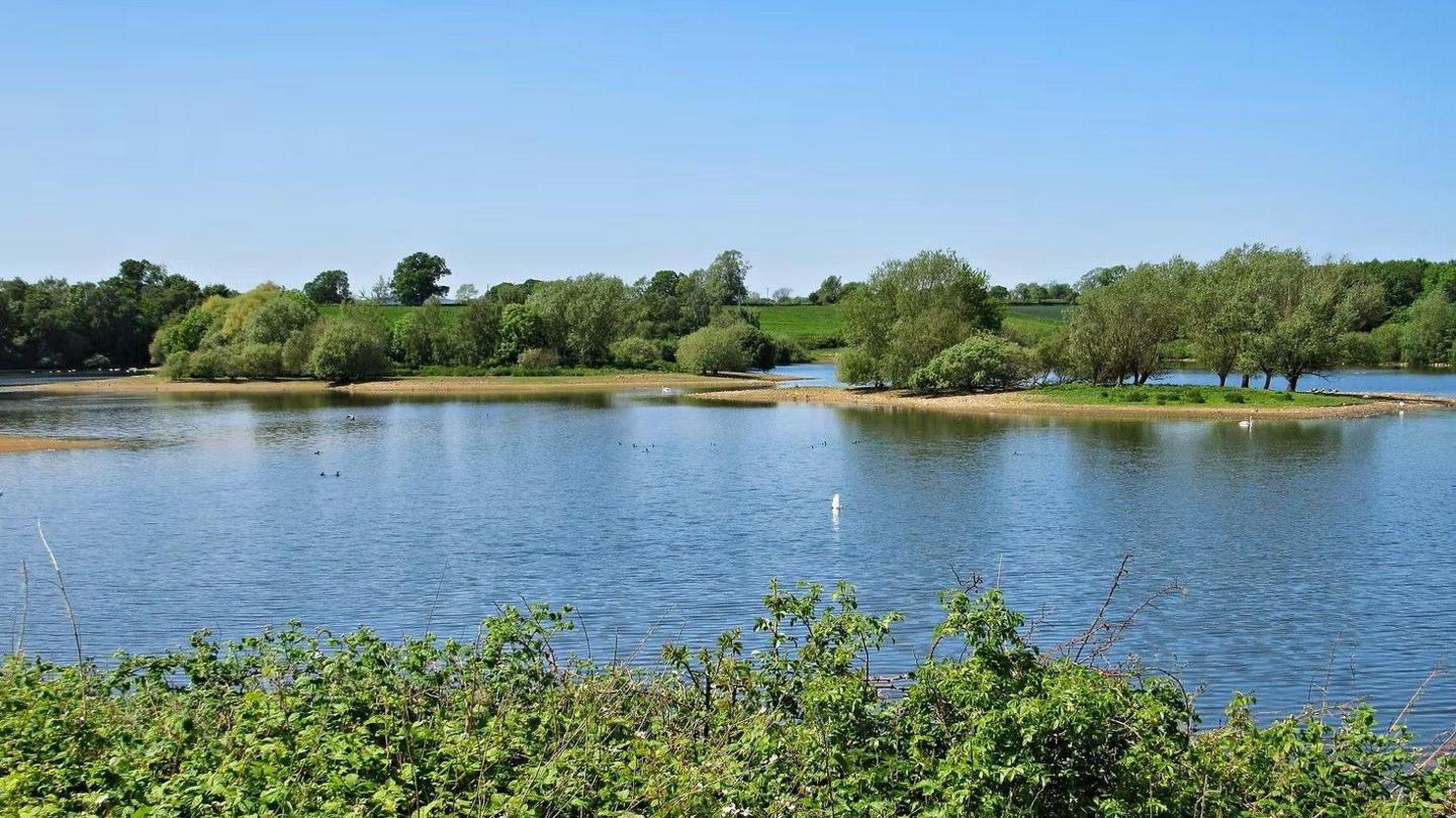 Scorton Lakes pictured in the sun - a large expanse of water, surrounded by trees and grass, with grassy inlets.