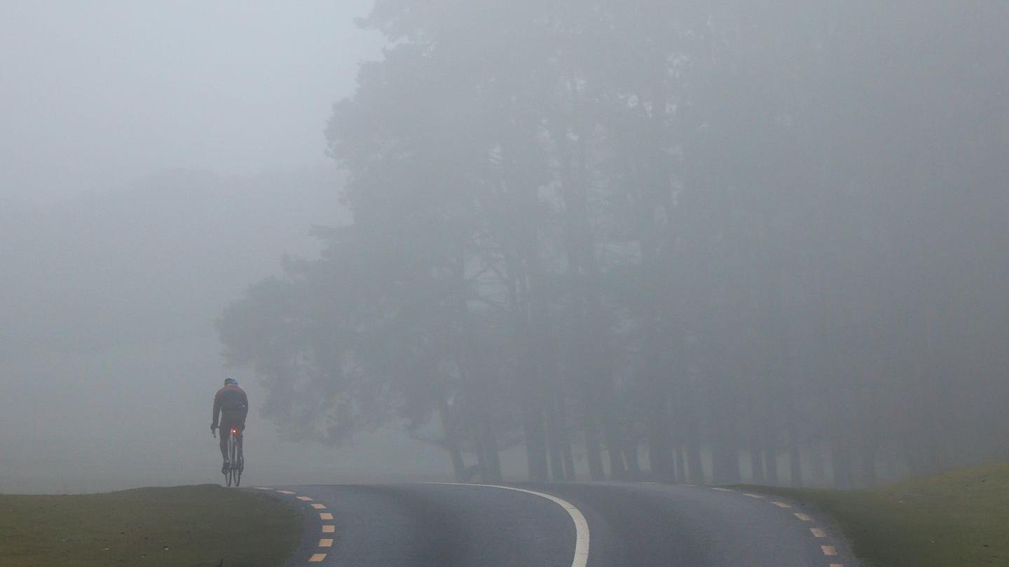 Back of cyclist on road in foggy conditions. Trees are on the right.