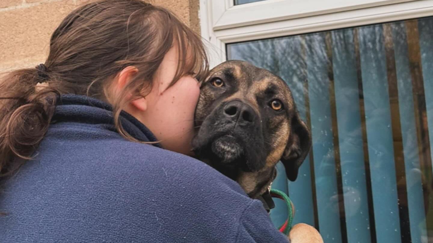 A person in a dark blue fleece with a brown ponytail cuddles Jamie, a crossbreed dog. Jamie is looking at the camera.