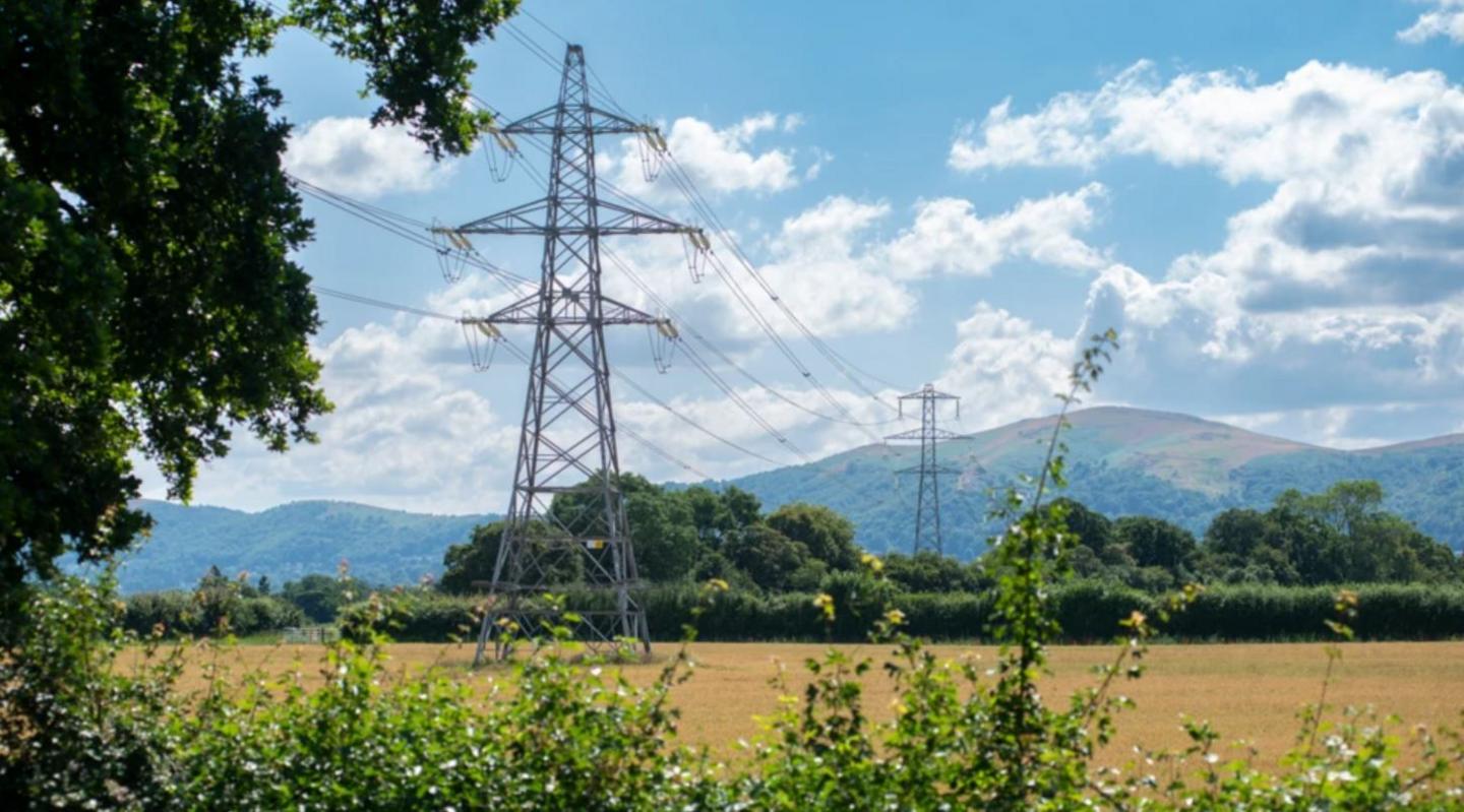 Two electricity pylons standing in a light brown field surrounded by green bushes and trees 