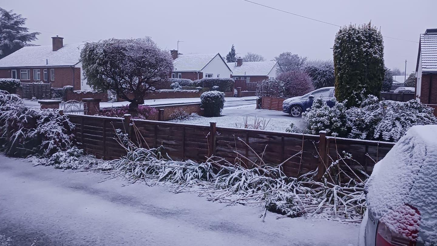 A street outside a row of houses. There is a wooden fence and lots of bushes and trees covered in snow. 