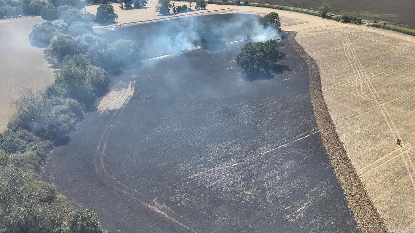 A large field fire, showing the extent of the damage, smoke coming from the field, burned grass, trees and bushes surround the field.