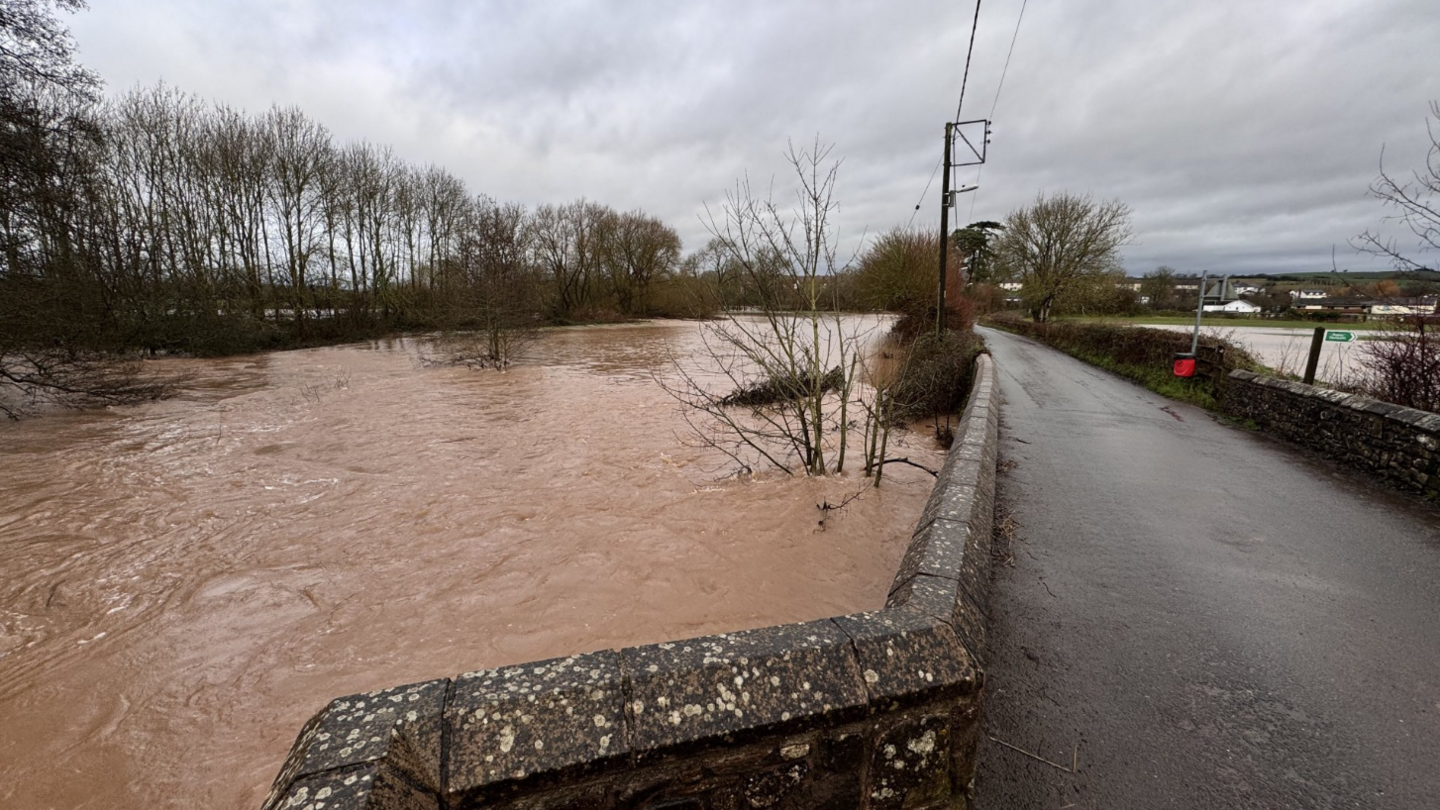 A flooded field near the River Creedy on the left, near Crediton, which is brown and has some tree branches in it. There is a road, with a stone wall in-between, on the right. 