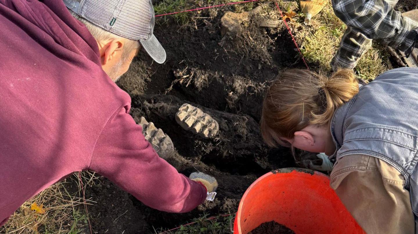 Team looking at mastodon teeth in garden