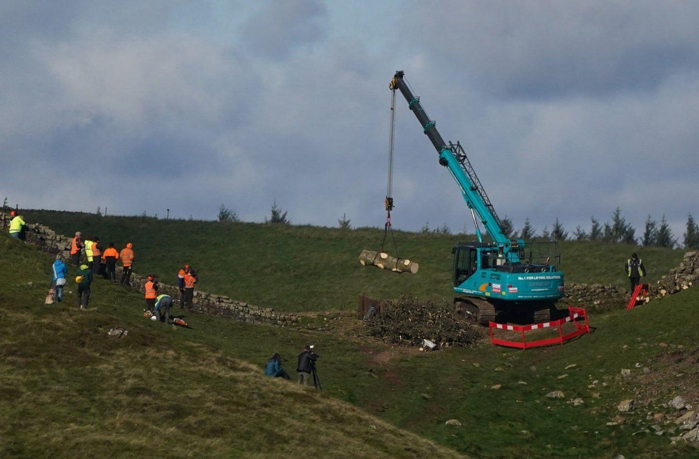 A large blue crane lifts a big trunk of wood up and away from the wall as people cluster around and watch