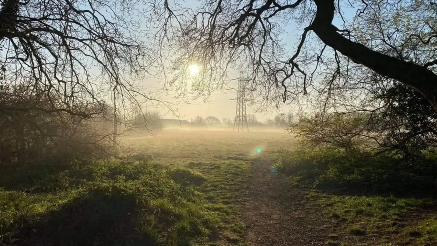 The Middlewick Ranges in Colchester -  a wide open field covered in a slight mist.