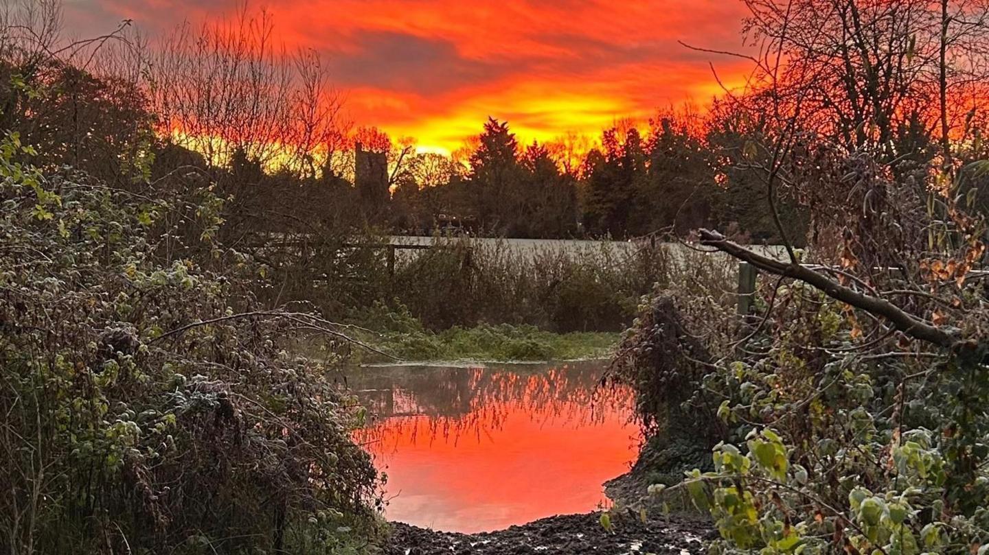 A glorious sunset with a blood orange sky above a forest. A body of water on the ground is reflecting the deep colour of the sky. Trees and hedges can be seen all around.